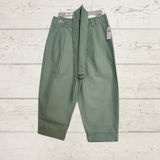 Size 4 Petite, NWT Meave by Anthropologie mint green pants