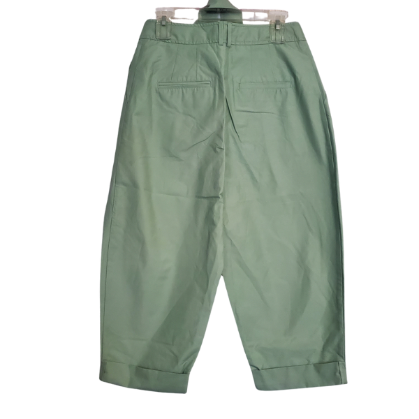 Size 4 Petite, NWT Meave by Anthropologie mint green pants